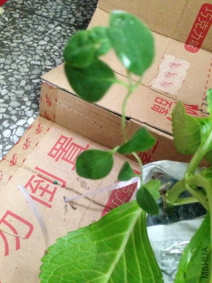 QQͼƬ20151016115852.jpg