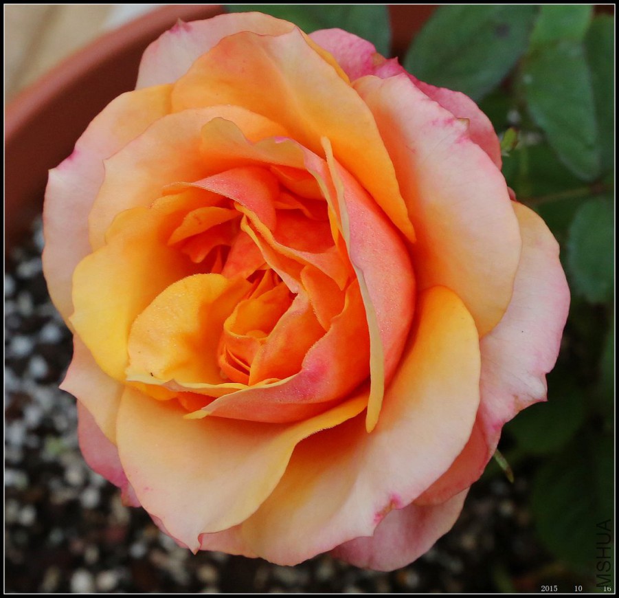2015101602.jpg