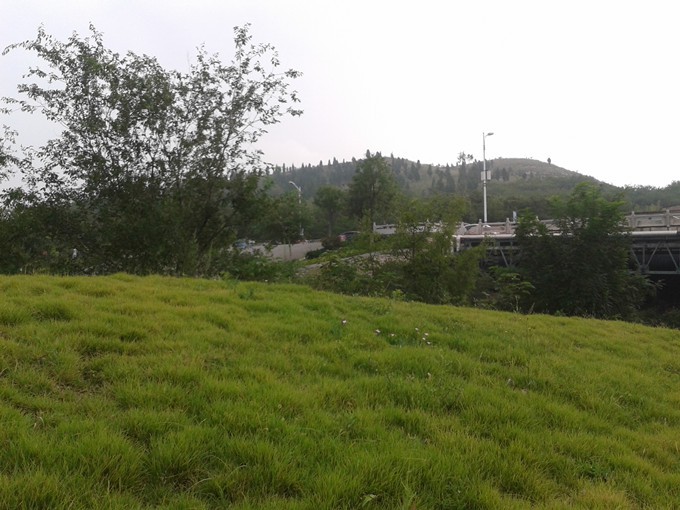 2015-09-05 08.52.13_����.jpg