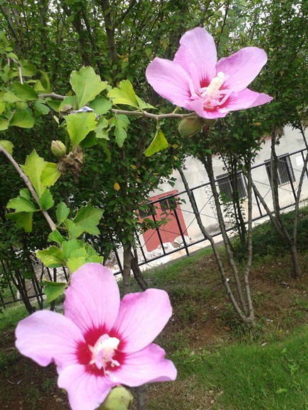 2015-09-05 11.33.07_����.jpg