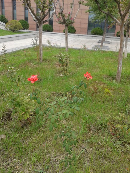 2015-09-05 09.27.07_����.jpg