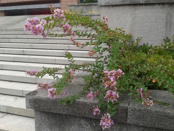 2015-09-05 09.25.58_����.jpg