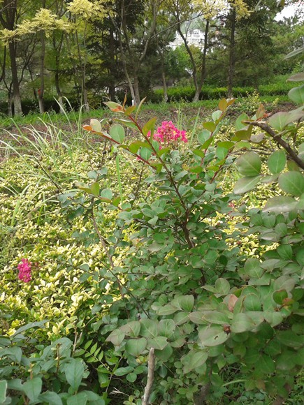 2015-09-05 09.22.10_����.jpg