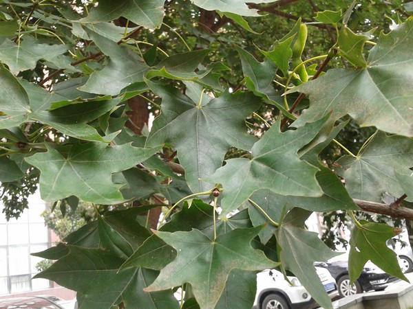 2015-09-05 10.39.32_����.jpg