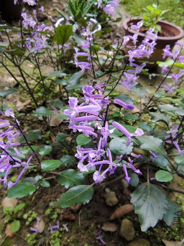 DSCN0228.JPG