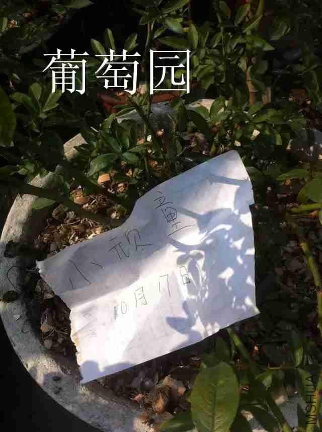 psb (1)_����.jpg