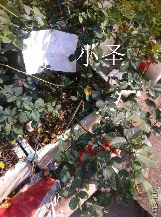 psb (7)_����.jpg