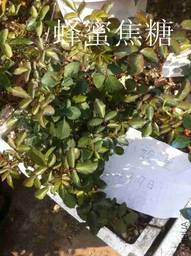 psb (8)_����.jpg