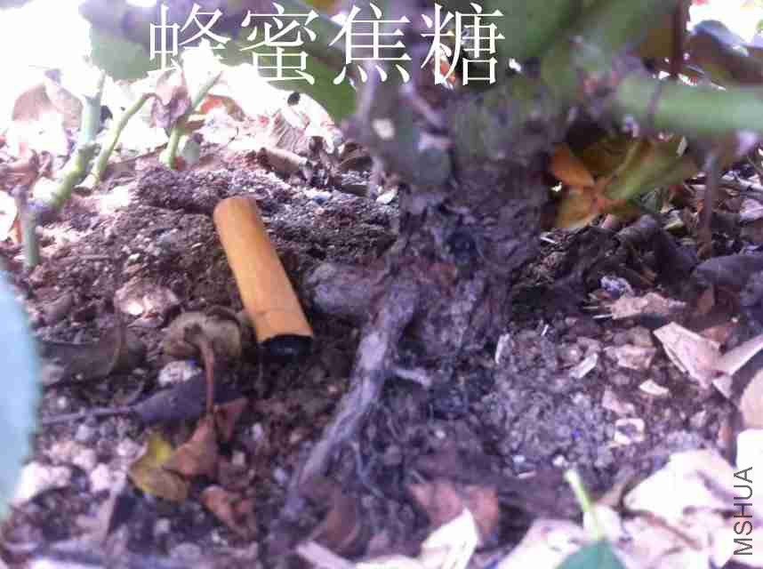 psb (9)_����.jpg