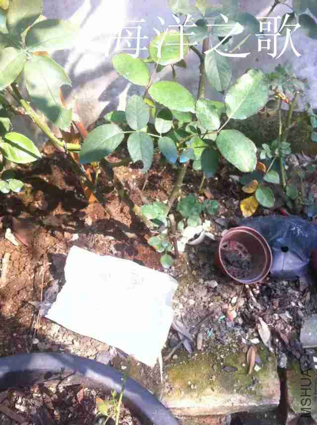 psb (22)_����.jpg