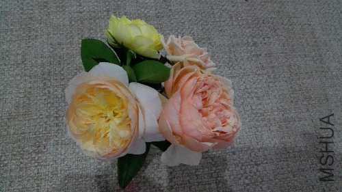 IMG_20151017_191102.jpg