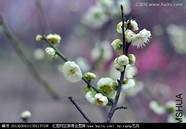 220828co4x3ke1gncg6gn6.jpg