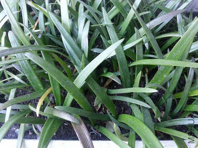20151018_092504.jpg