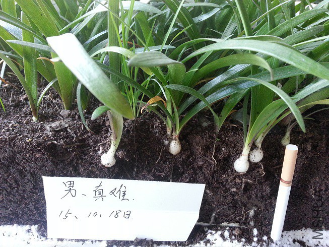 20151018_093340.jpg