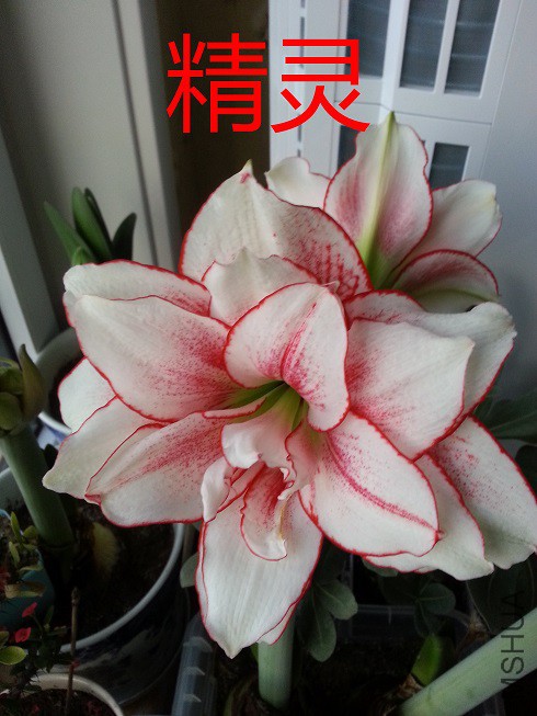 20150120_074918_��ͼ��.jpg