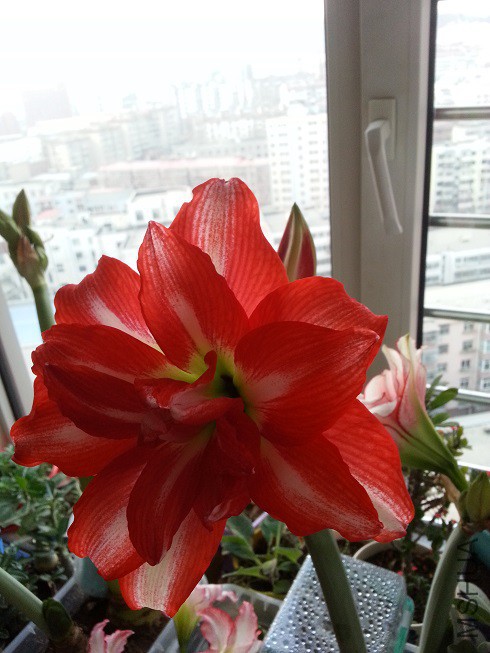 20150120_074958.jpg