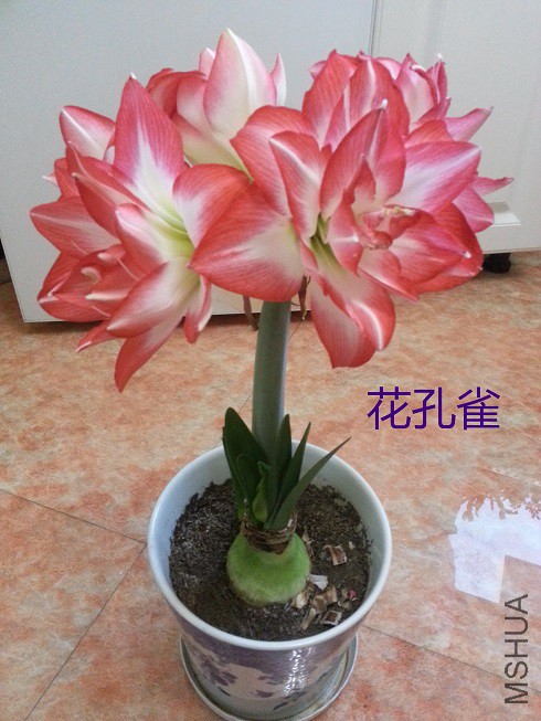 20150127_073602_��ͼ��.jpg
