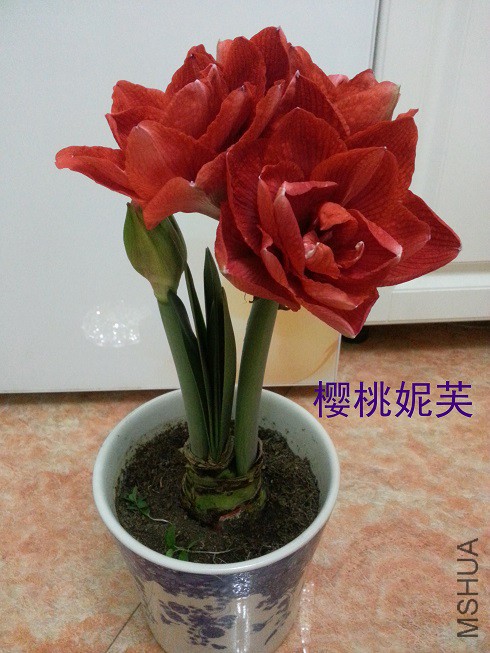 20150128_230015_��ͼ��.jpg