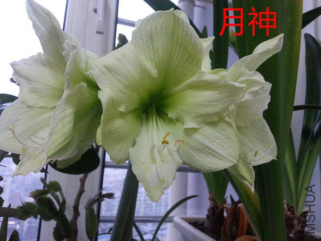20150331_064949_��ͼ��.jpg