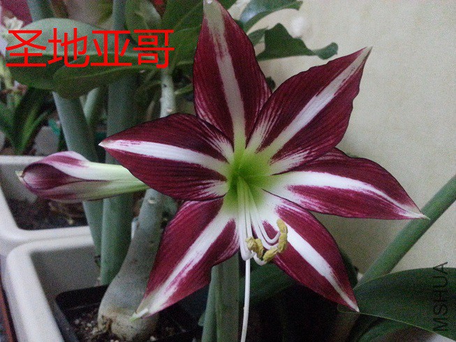 20150416_235413_��ͼ��.jpg
