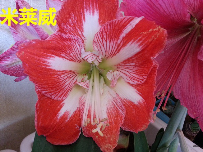 20150420_141221_��ͼ��.jpg