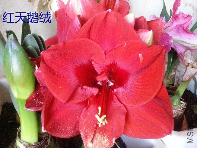 20150422_071421_��ͼ��.jpg