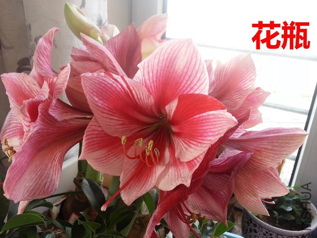20150429_071552_��ͼ��.jpg
