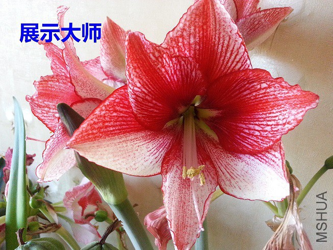 20150504_061806_��ͼ��.jpg
