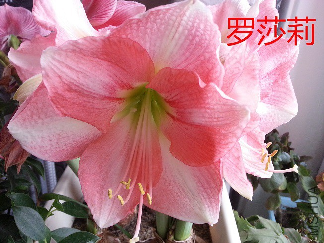 20150502_063851_��ͼ��.jpg