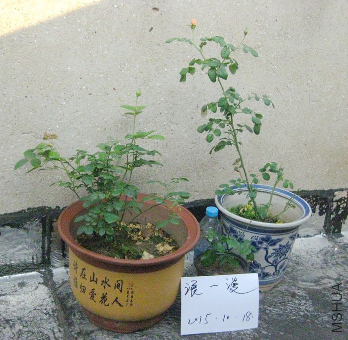 ��Ƭ 040.jpg