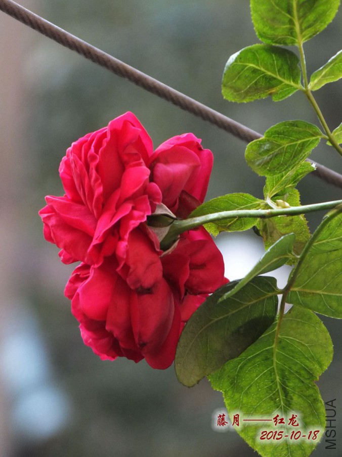 15.10.18�� 008_����_����.jpg