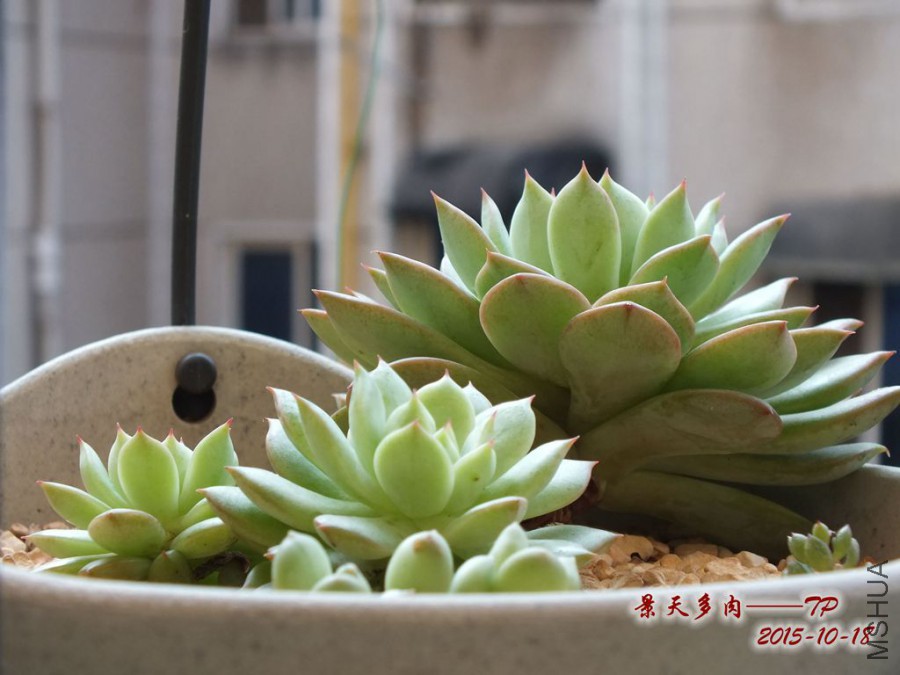 15.10.18�� 009_����_����.jpg