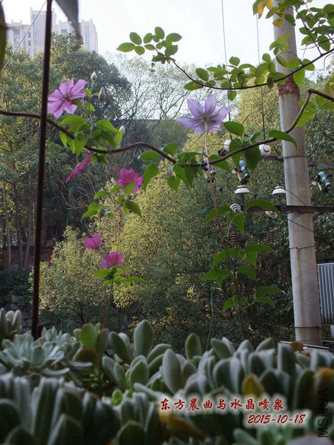 15.10.18�� 003_����_����.jpg