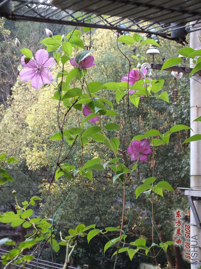 15.10.18�� 002_����_����.jpg