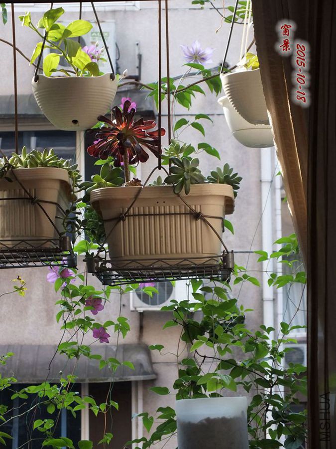 15.10.18�� 023_����_����.jpg