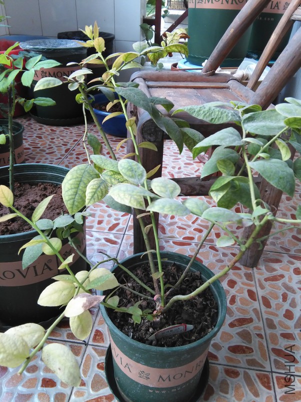 Ǯ����1.jpg
