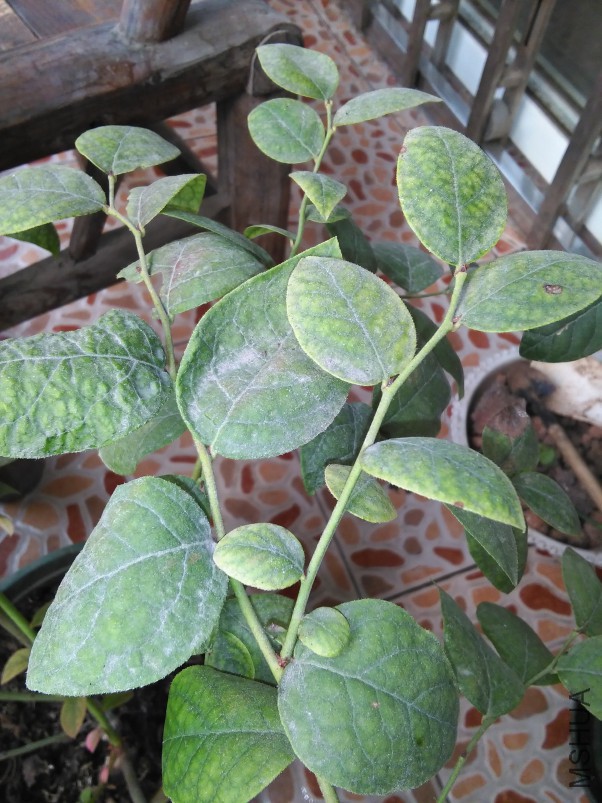 Ǯ����2.jpg