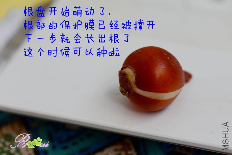 DSC_2260_����.jpg