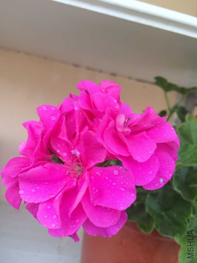 QQͼƬ20151019204953.jpg
