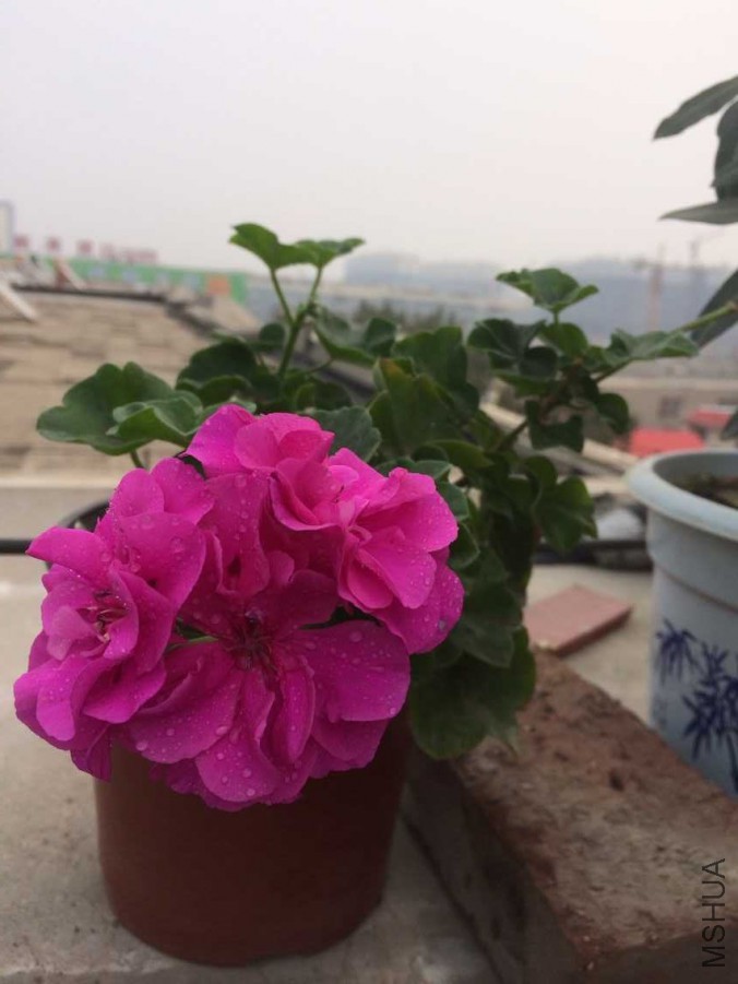 QQͼƬ20151019205001.jpg