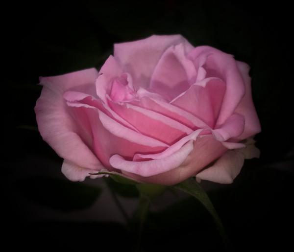 ��Ƭ 1025.jpg