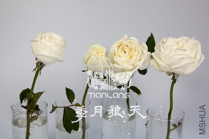 ����Ī��