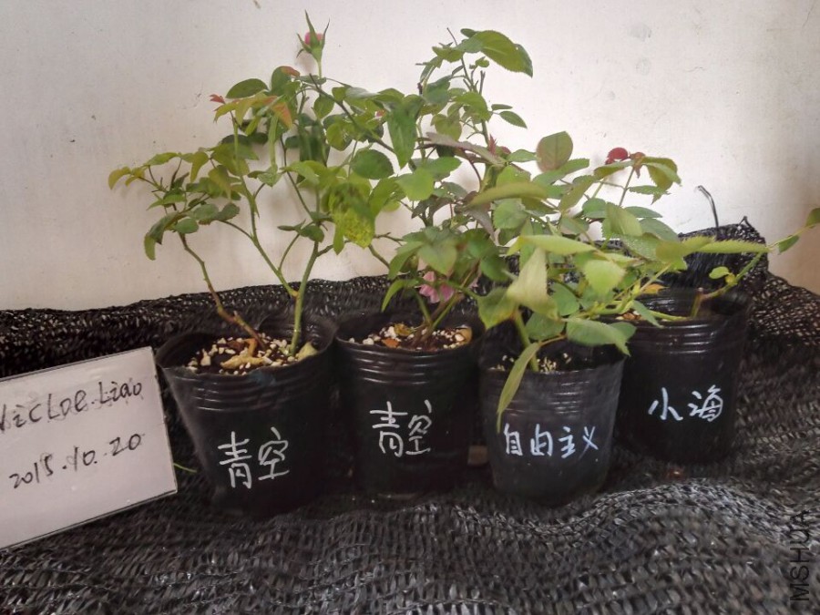 QQͼƬ20151020085924.jpg