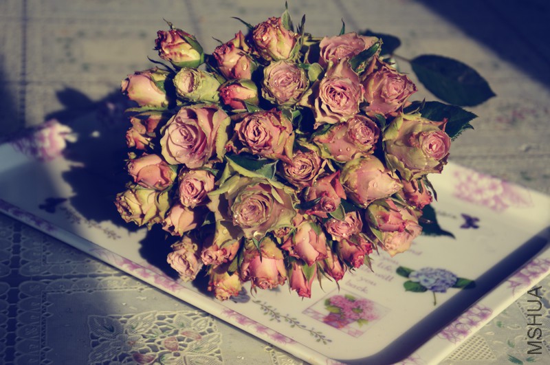 DSC_0908_����.jpg