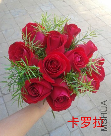 QQͼƬ20150727115856.jpg