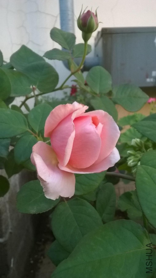 WP_20151019_007_����.jpg