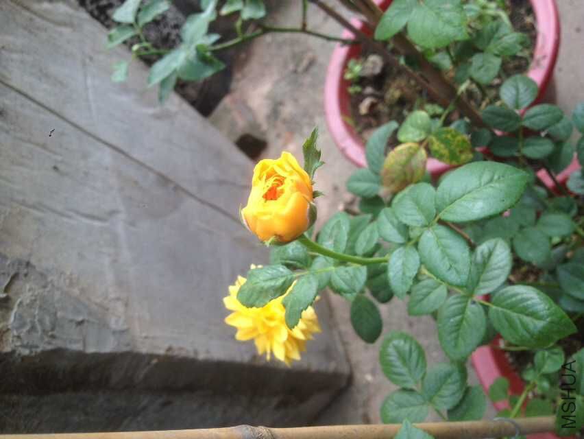 QQͼƬ20151021111723.jpg