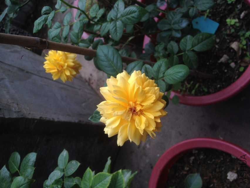 QQͼƬ20151021111726.jpg