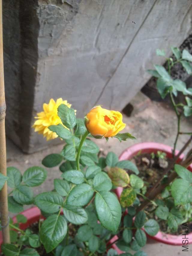 QQͼƬ20151021111723.jpg