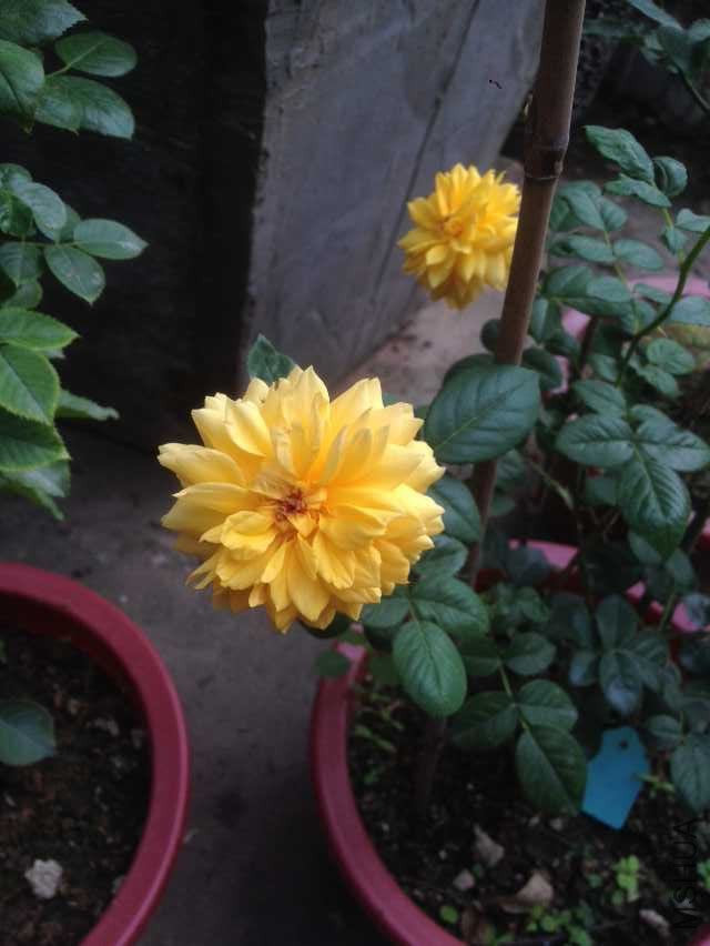 QQͼƬ20151021111726.jpg